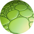 3. Balanced gut bacteria = better you