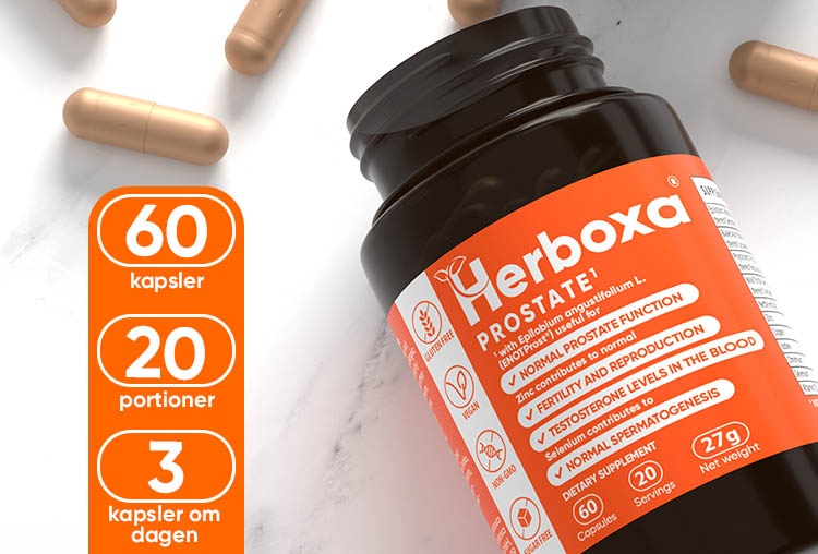 HERBOXA PROSTATE | 60 kapsler