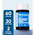 Herboxa Colon - 60 kapsler 