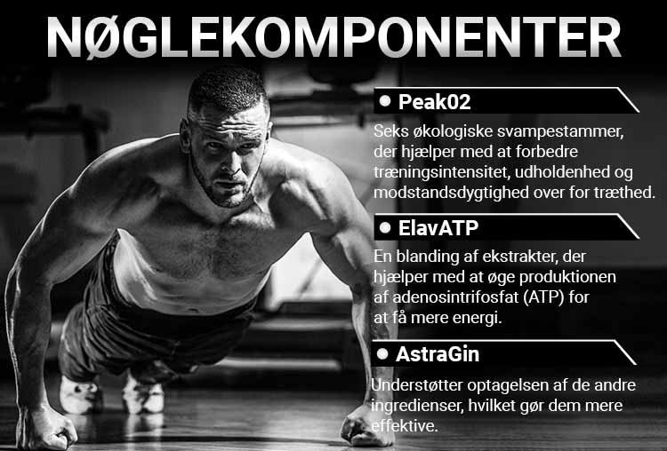 Herboxa Muscle Builder